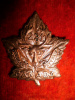 231st Battalion Seaforth Highlanders of Canada Collar Badge   